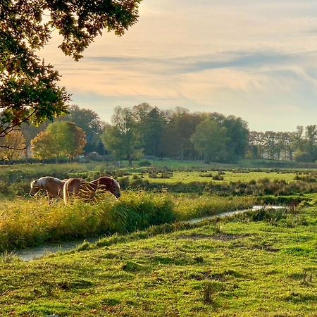 Ferienwohnungen Klein Kapelle Gingst Dış mekan fotoğraf