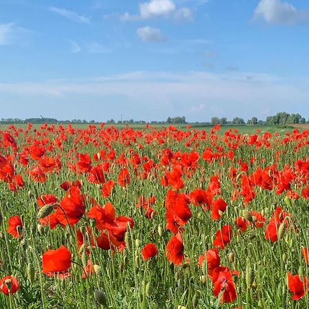 Ferienwohnungen Klein Kapelle Gingst Dış mekan fotoğraf